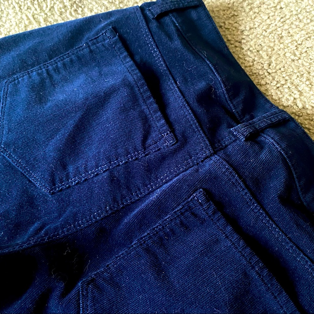 Ann Taylor Midnight Blue Velvet Skinny Jean Size 2 Petite